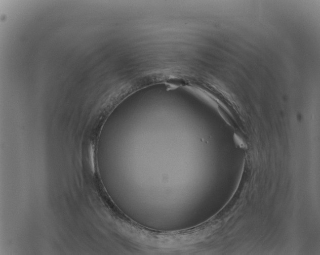 X0000068820022200605121327