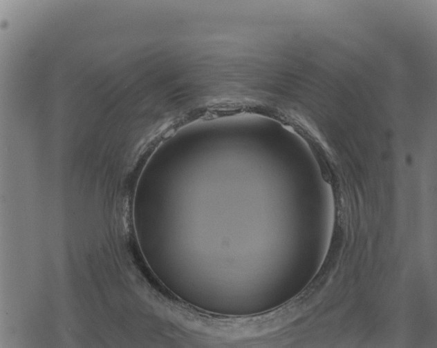 X0000068820023200605121327