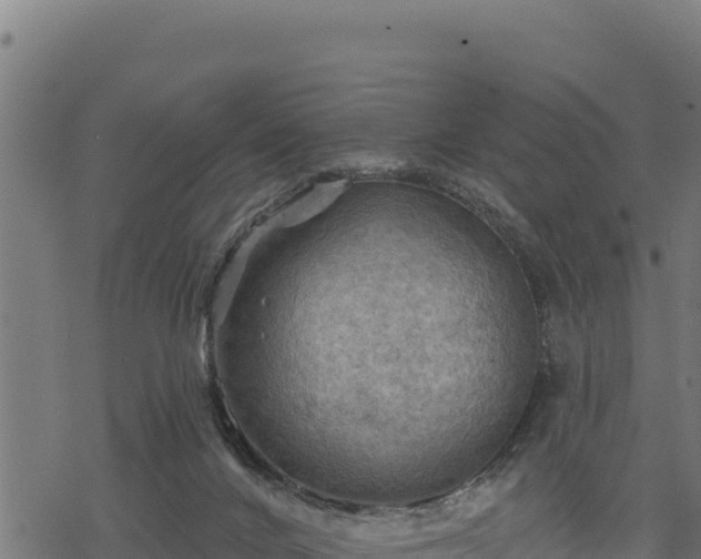 X0000068820024200605121327