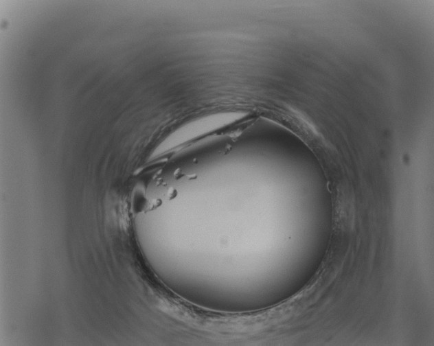 X0000068820025200605121327