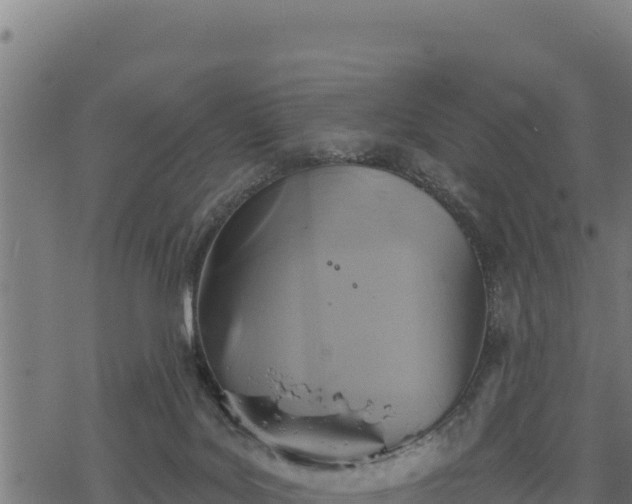 X0000068820027200605121327