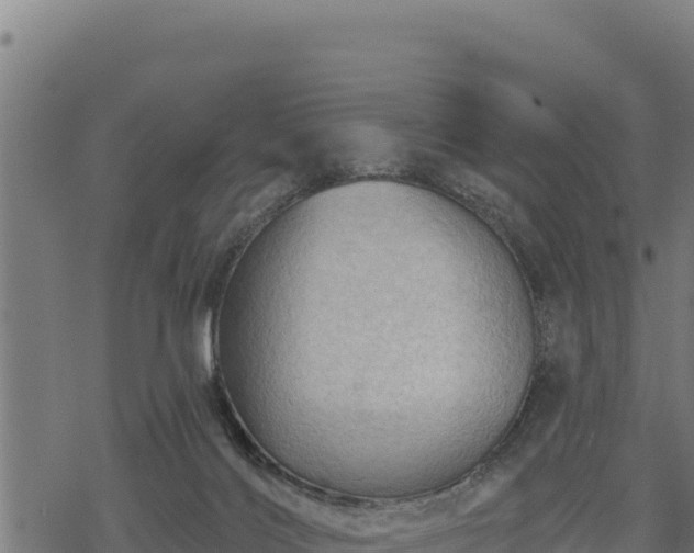 X0000068820028200605121327