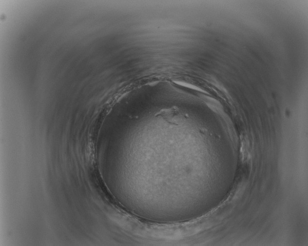 X0000068820029200605121327