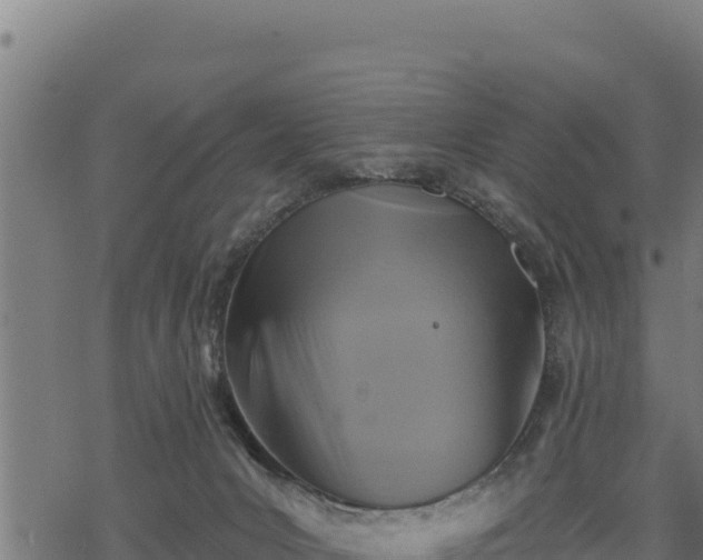 X0000068820031200605121327