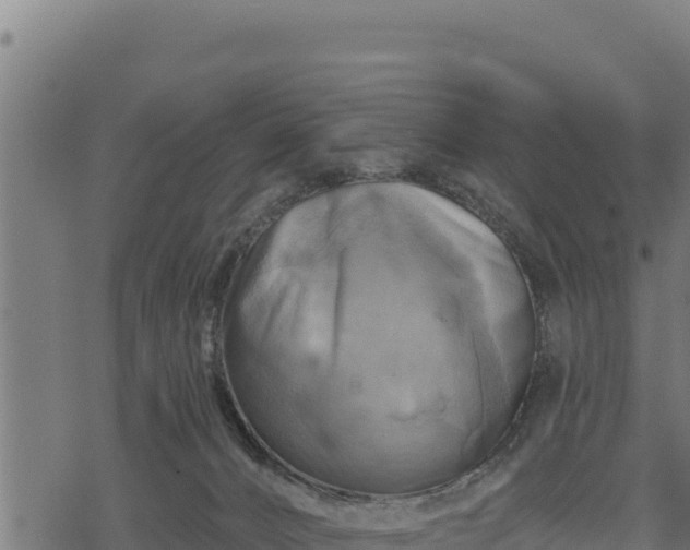 X0000068820032200605121327