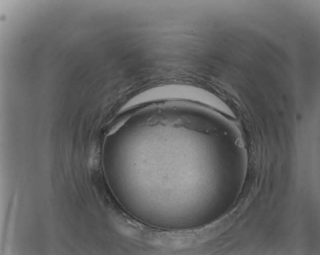 X0000068820033200605121327