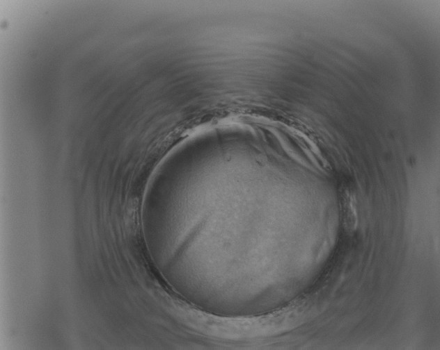 X0000068820034200605121327