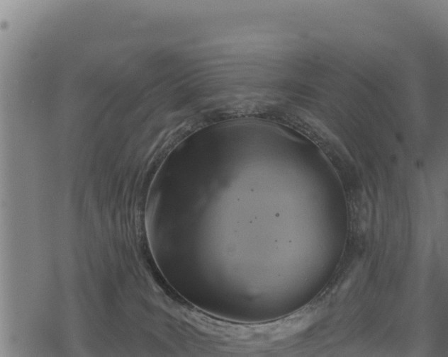 X0000068820035200605121327