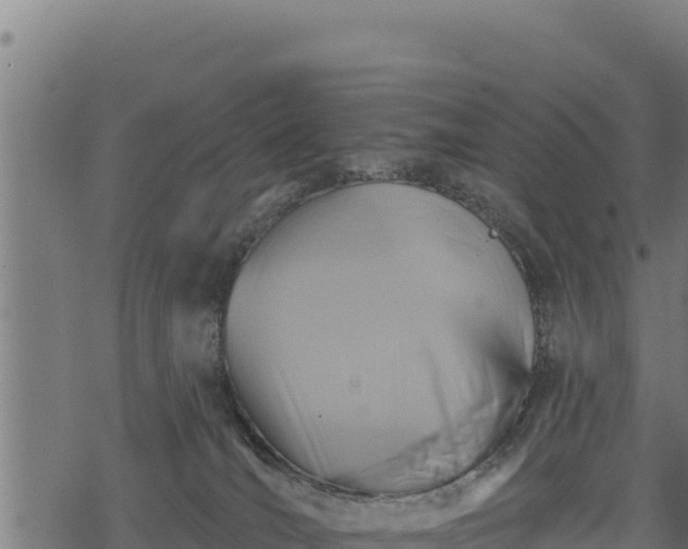 X0000068820036200605121327