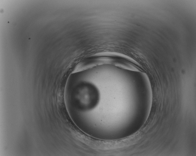 X0000068820037200605121327