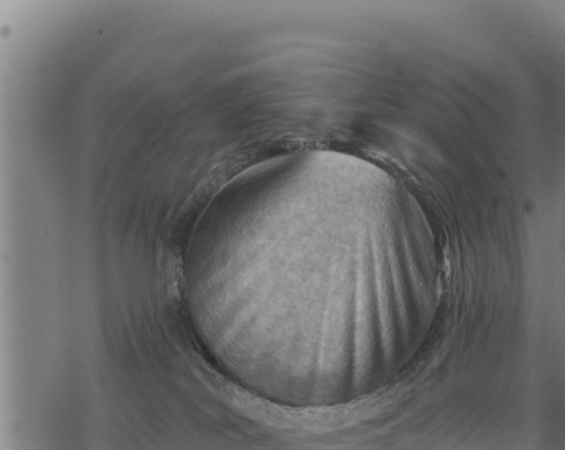 X0000068820038200605121327