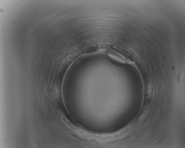 X0000068820039200605121327