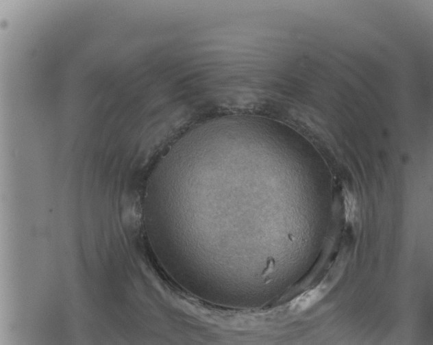 X0000068820040200605121327