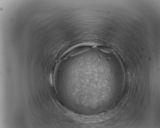 X0000068820042200605121327