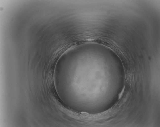 X0000068820043200605121327