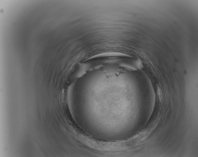 X0000068820044200605121327