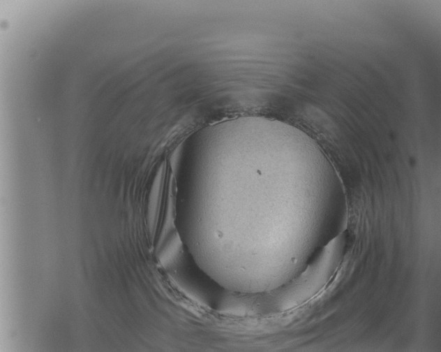 X0000068820045200605121327