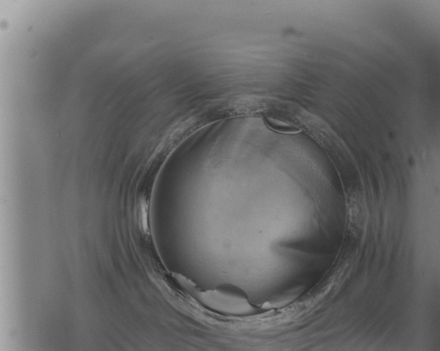 X0000068820046200605121327