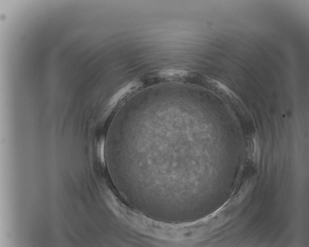 X0000068820047200605121327