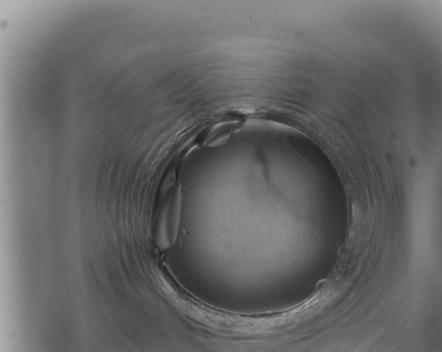 X0000068820048200605121327