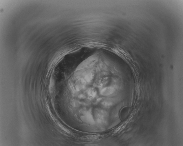 X0000068820049200605121326