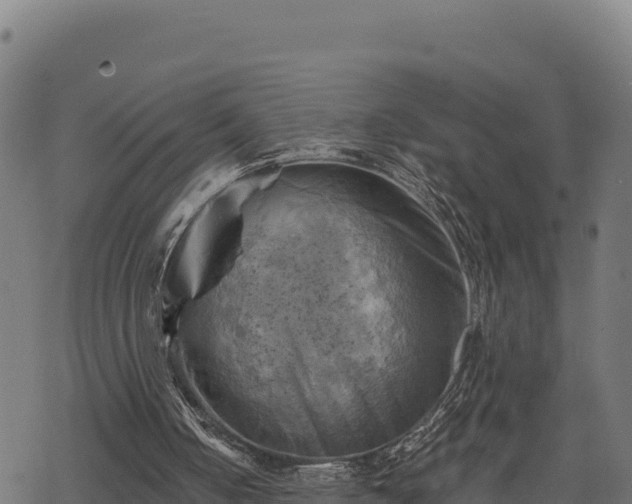 X0000068820050200605121326