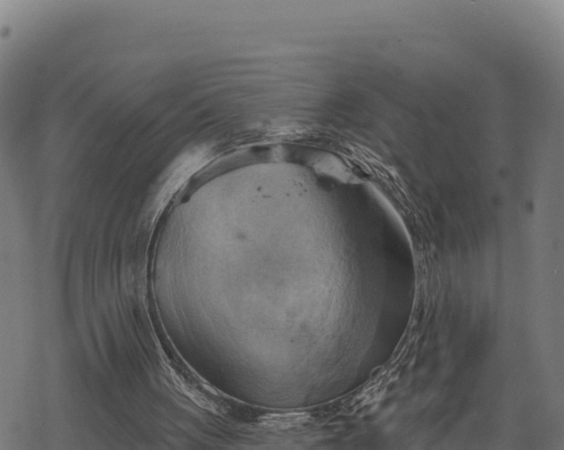 X0000068820051200605121326