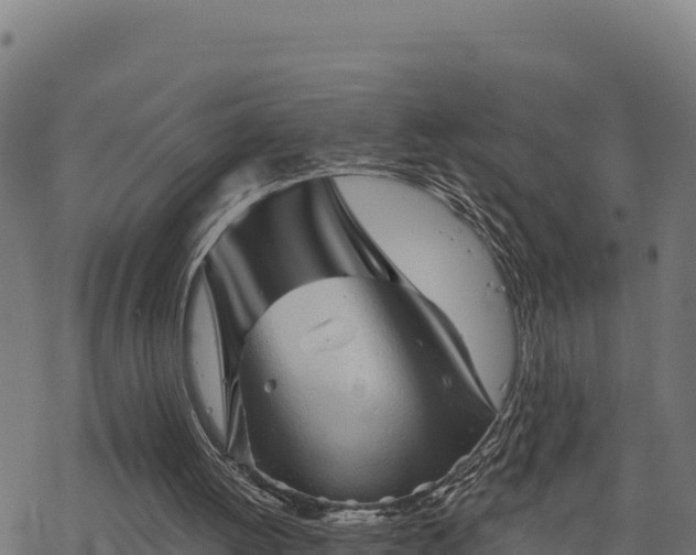 X0000068820052200605121326