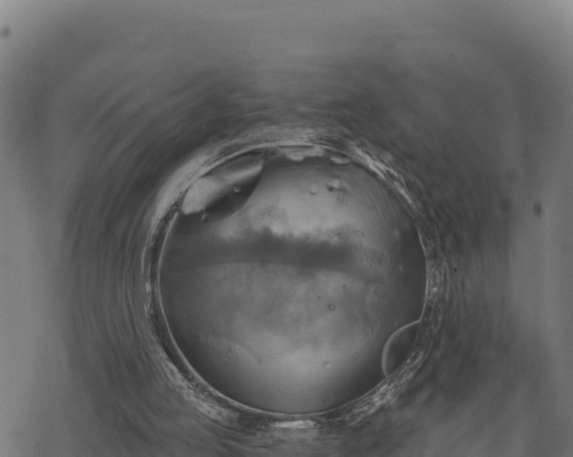 X0000068820053200605121326