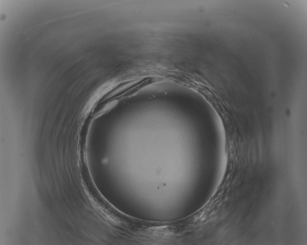 X0000068820054200605121326