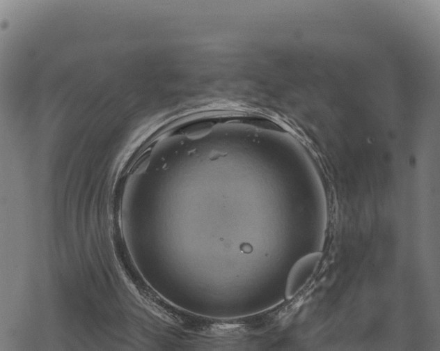 X0000068820055200605121326