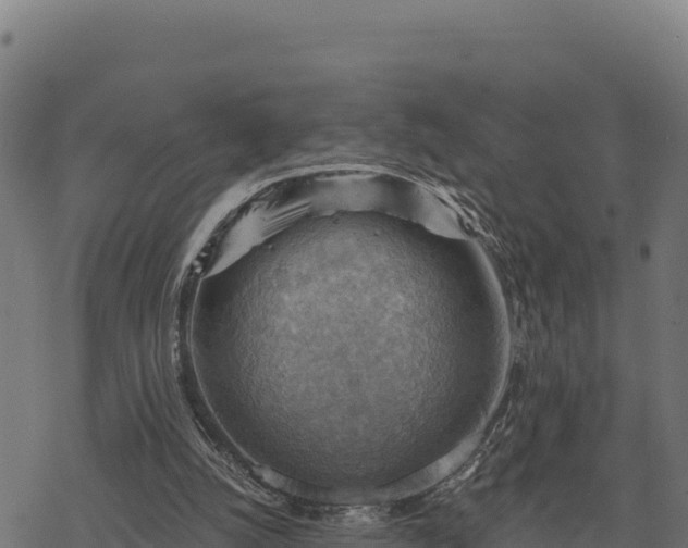 X0000068820056200605121326