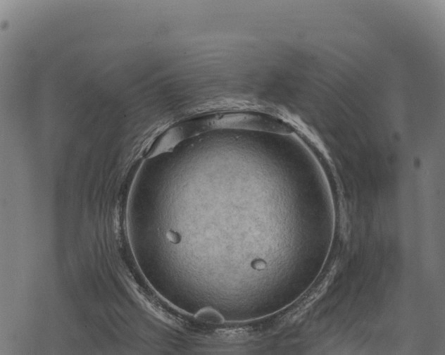 X0000068820057200605121326