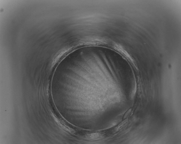 X0000068820058200605121326