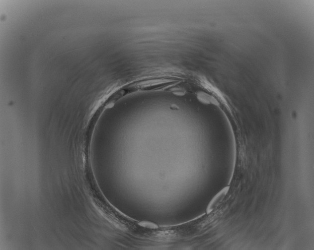 X0000068820059200605121326