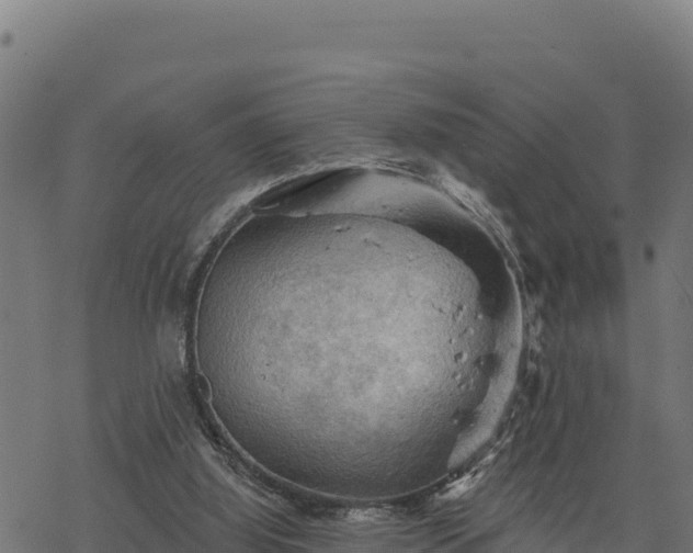 X0000068820060200605121326