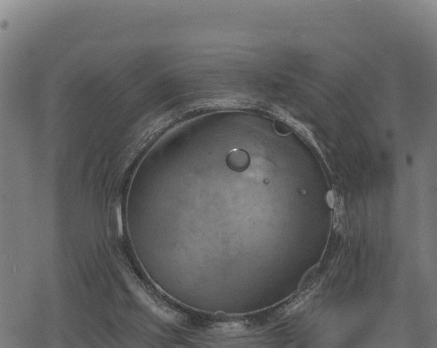 X0000068820061200605121326