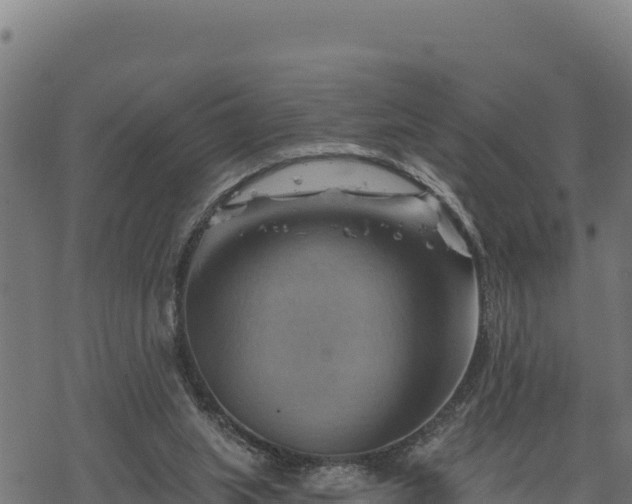 X0000068820063200605121326