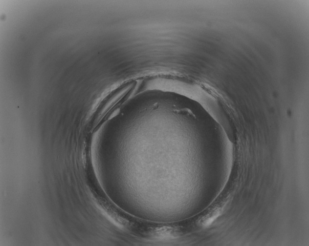 X0000068820064200605121326