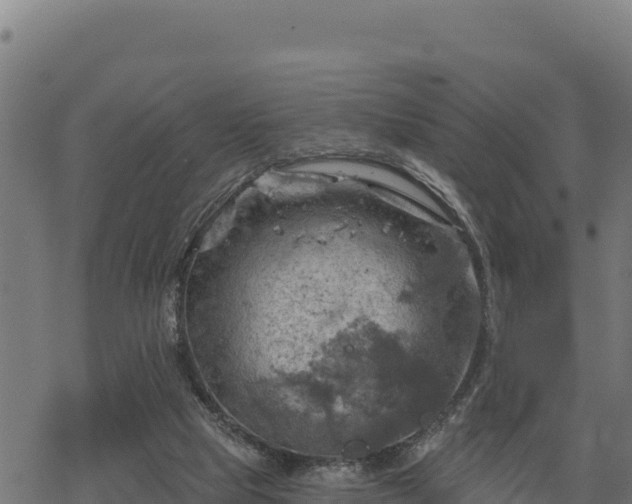 X0000068820065200605121326