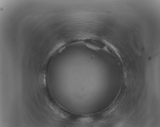 X0000068820067200605121326