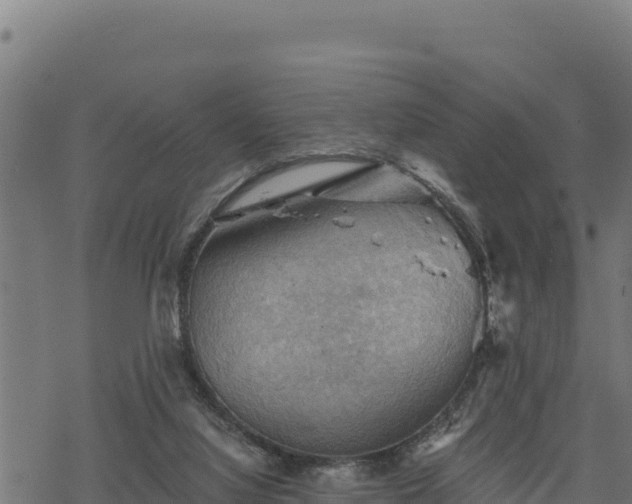 X0000068820068200605121326