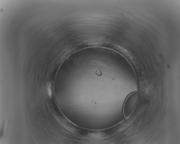 X0000068820069200605121326