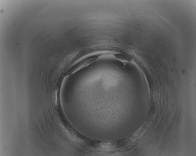 X0000068820070200605121326