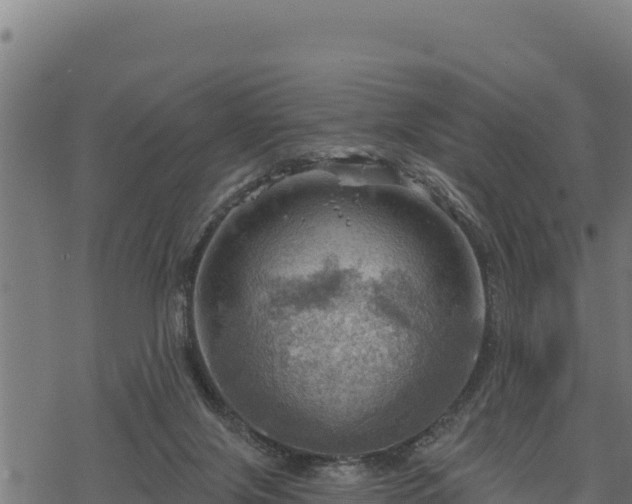 X0000068820071200605121326