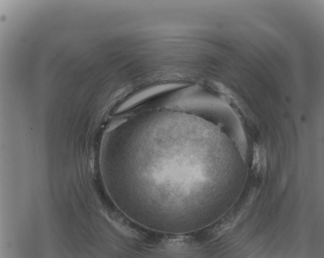 X0000068820072200605121326