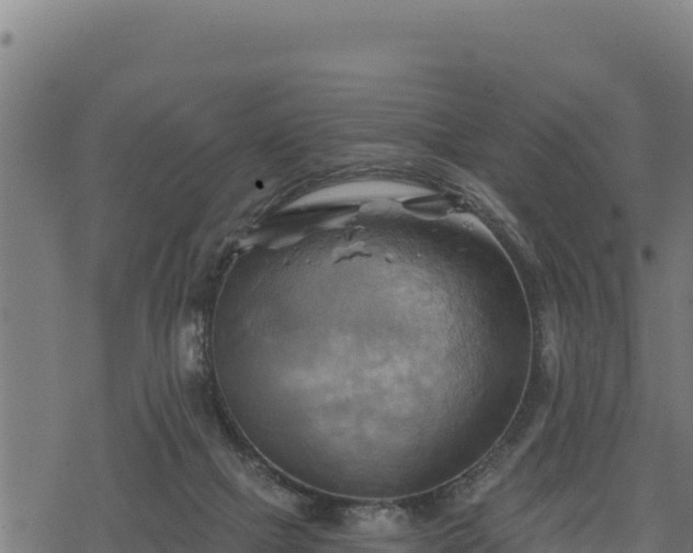 X0000068820073200605121326