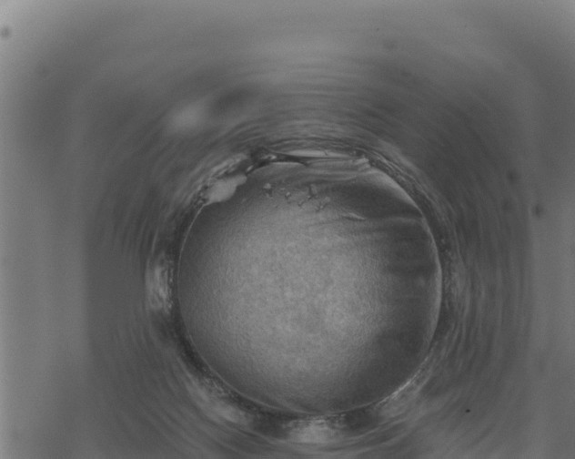 X0000068820074200605121326