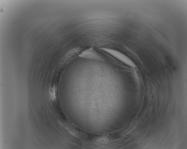 X0000068820075200605121326