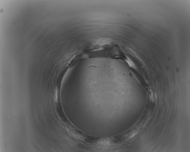 X0000068820076200605121326